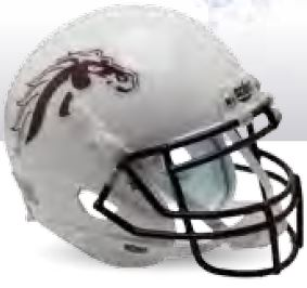 Western Michigan Broncos Miniature Football Helmet Desk Caddy <B>White</B>