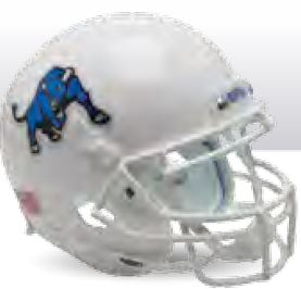 Buffalo Bulls Mini Football Helmet Desk Caddy <B>White Bull</B>