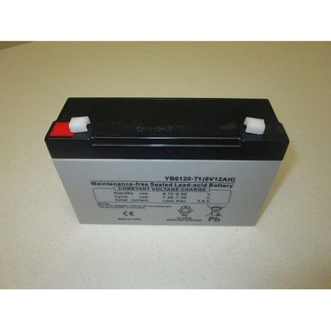 Bulk Litebox Battery