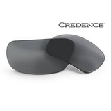 Eye Safety Systems - Credence